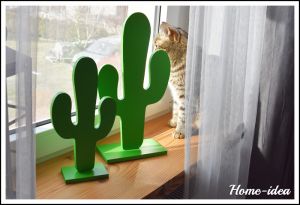 kaktusy do okna drewniane